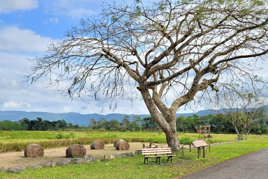 【超值半島】花蓮兆豐墾夢莊園拓村泉旅、南迴海景、枋寮藍色漁港漫遊三日