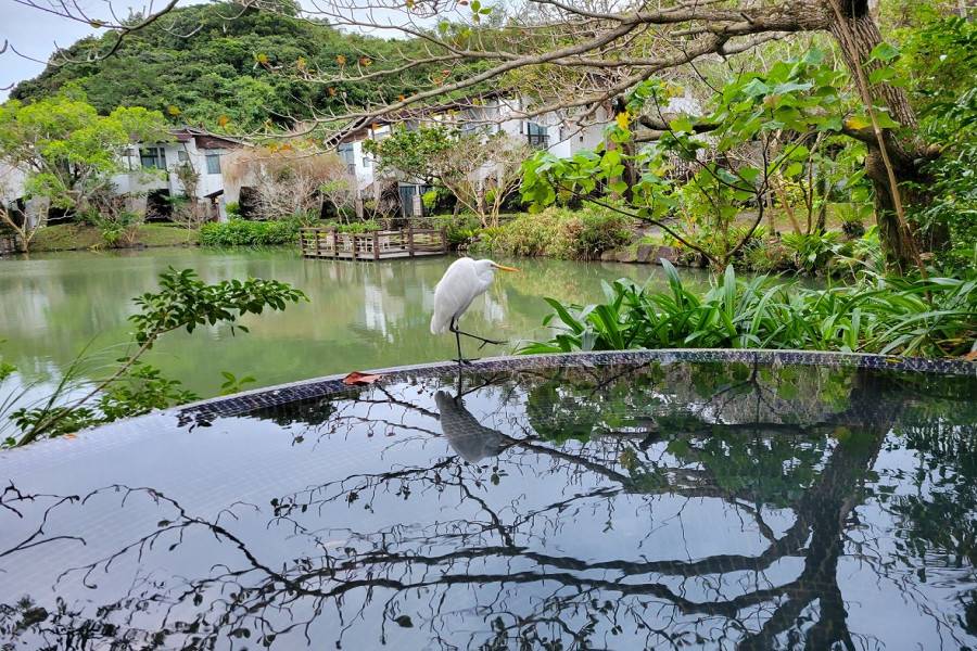 【山海盛宴】台東縱谷藝境、金崙大橋、喜來登及旭海牡丹灣VILLA三日