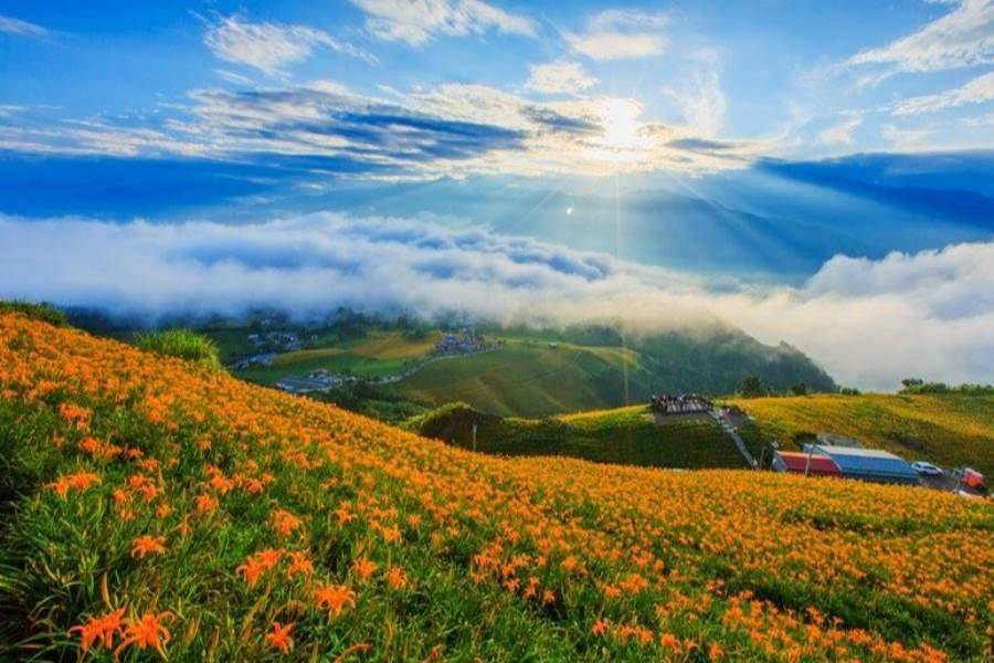 【台中出發】台東熱氣球、縱谷金針花賞、花蓮理想森光遊湖星巴克童話三日