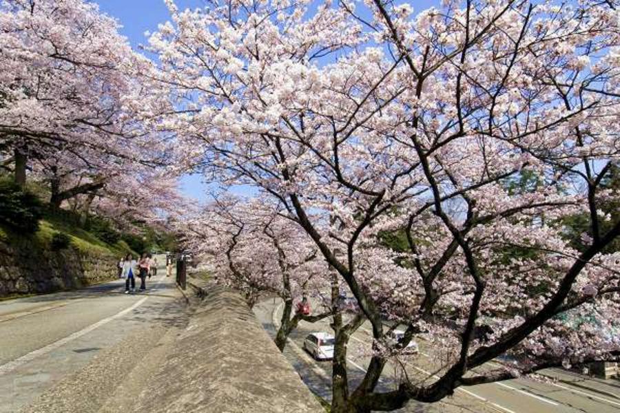 小松立山加賀屋 春櫻古街工藝 合掌村上高地5日 Br加班機 國外團體旅遊 東南旅遊網