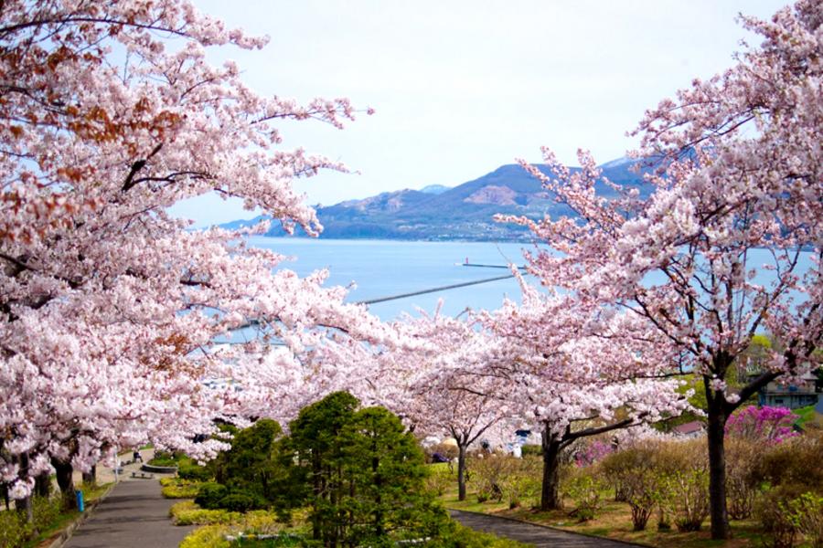 超值北海道＊花漾小樽．百萬夜景.三大螃蟹白色戀人5日（千歲 千歲）