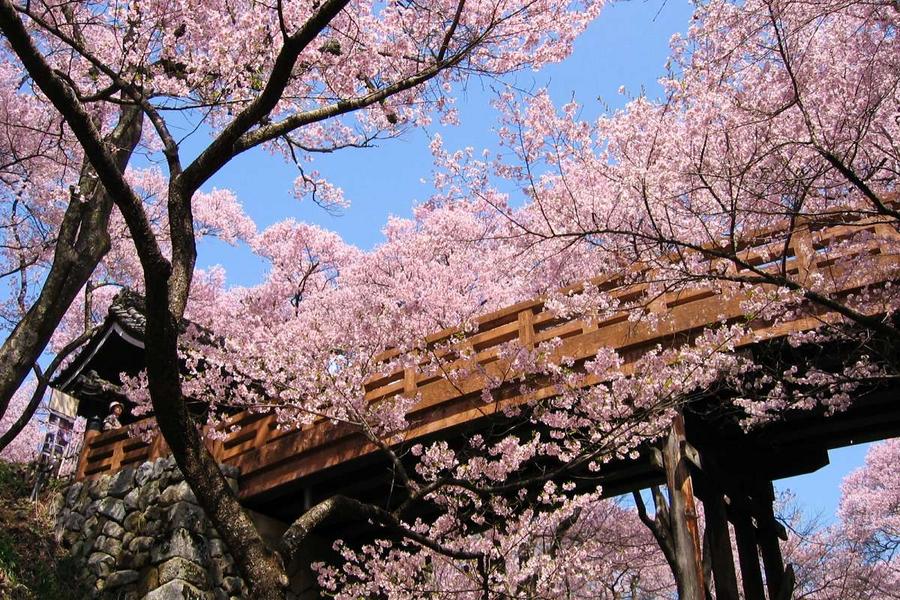 富山春彩★花漾百選‧木曾路自慢‧北陸庭園5日