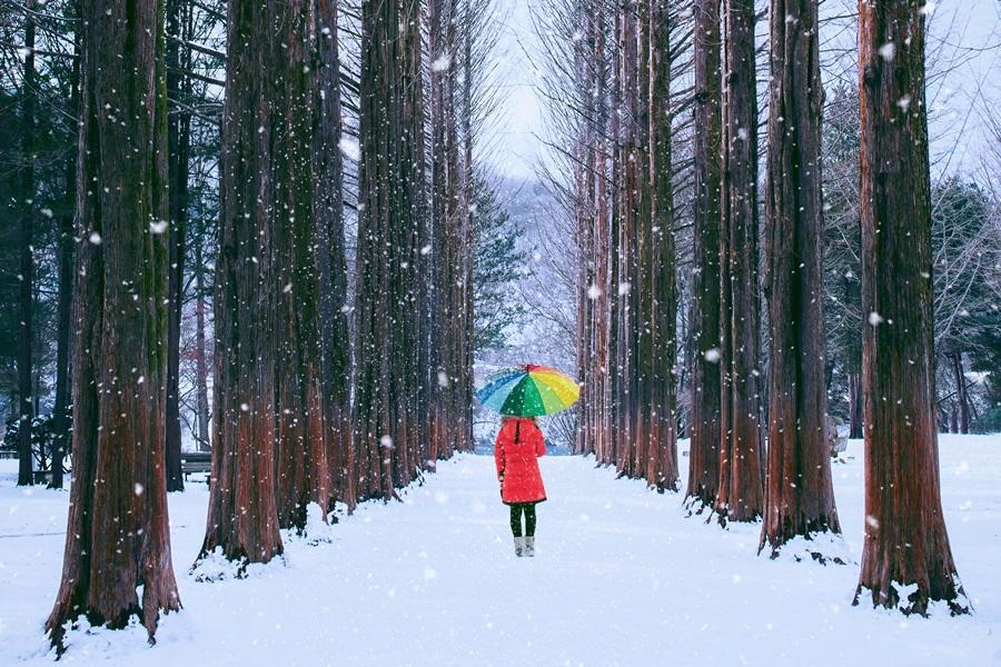 【市區四晚】浪漫冬語~南怡島.滑雪.三岳山纜車.塗鴉秀.汗蒸幕5日