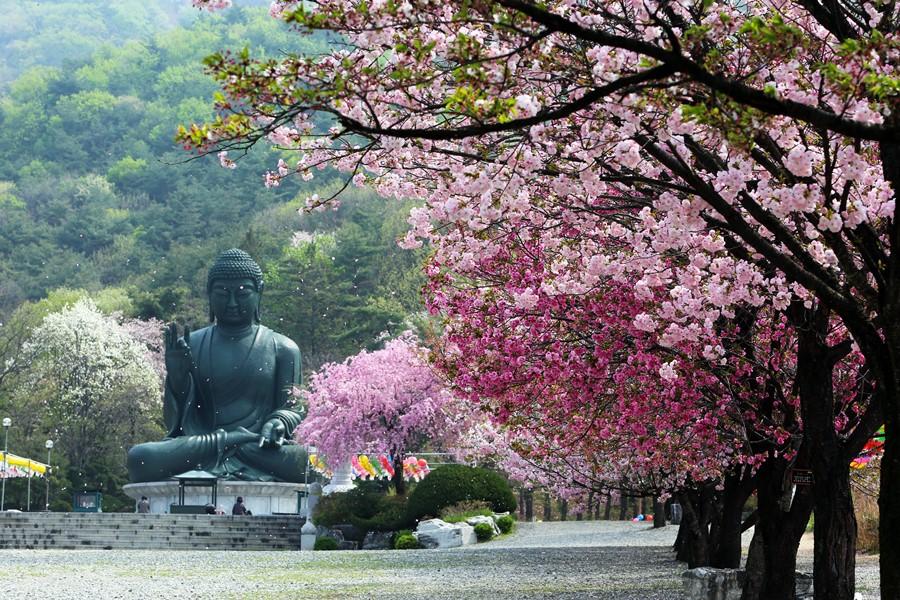 【二晚明洞】迷戀雪嶽山～正東津海洋列車、船橋莊、三岳山湖水纜車5日