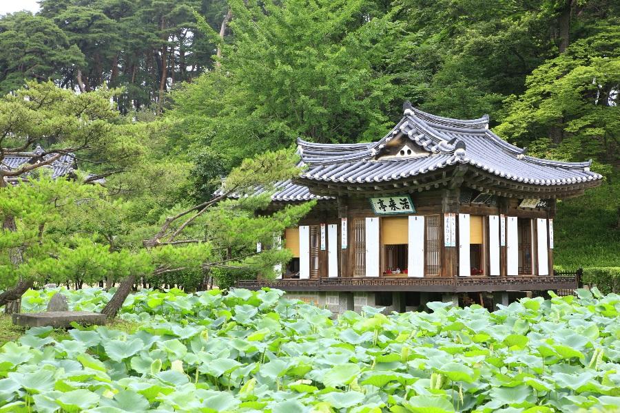 【升等明洞】迷戀雪嶽山~船橋莊、烏竹軒、南怡島、汗蒸幕5日(不進保肝)