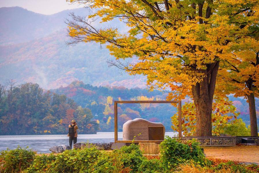 【楓華再現】南怡島兩水里銀杏、愛寶樂園、韓服遊古宮、明洞一晚5日