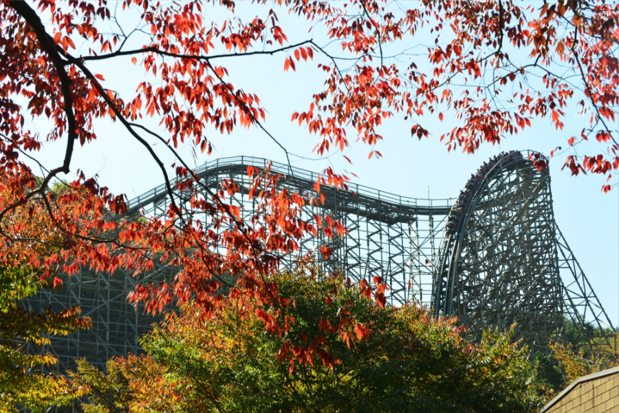 【二晚市區】歡樂愛寶樂園&野生動物園、跑跑卡丁車、小威尼斯、明洞5日