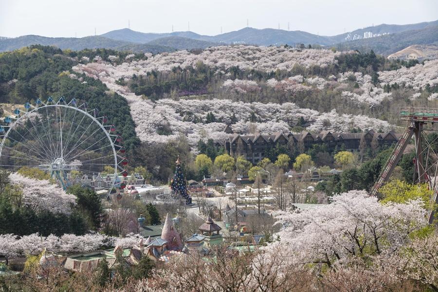 【二晚市區】歡樂愛寶樂園&野生動物園、跑跑卡丁車、小威尼斯、明洞5日