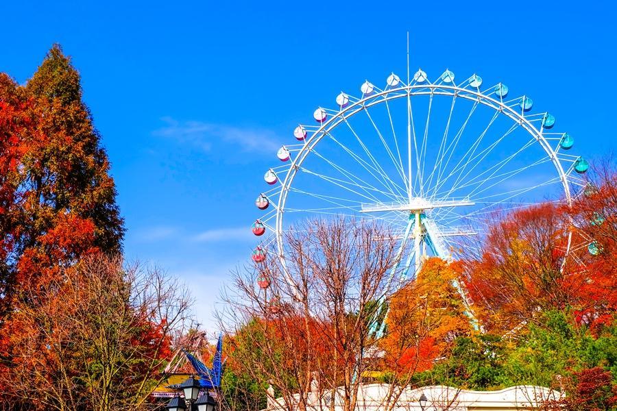 【二晚市區】歡樂愛寶樂園&野生動物園、跑跑卡丁車、小威尼斯、明洞5日