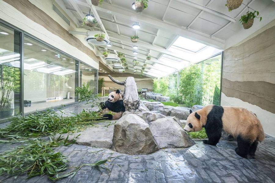 【二晚市區】歡樂愛寶樂園&野生動物園、跑跑卡丁車、小威尼斯、明洞5日