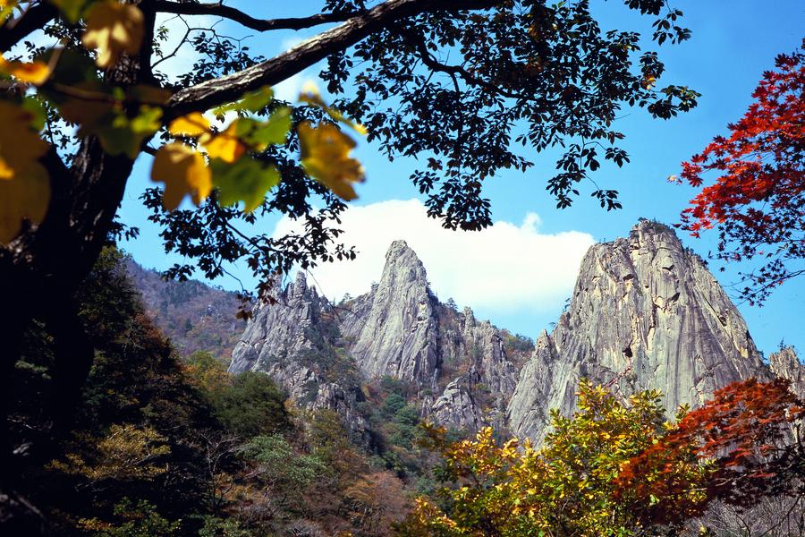 明洞GO血拼 ~ 韓國雪嶽山、愛寶樂園、幻多奇秀五日