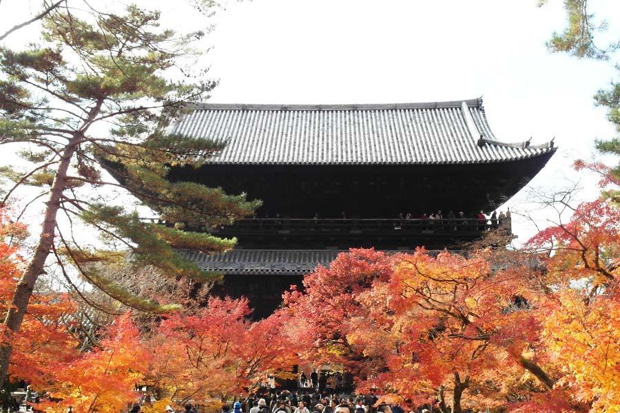 【楓紅不讓】姬路.箕面達摩勝尾寺.京都祇園嵐山清水寺.永觀南禪大阪五日