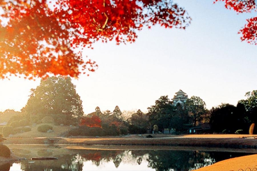 ★秋戀四國★紅葉金刀比羅宮．岡山後樂園．大步危遊船五日-PAK