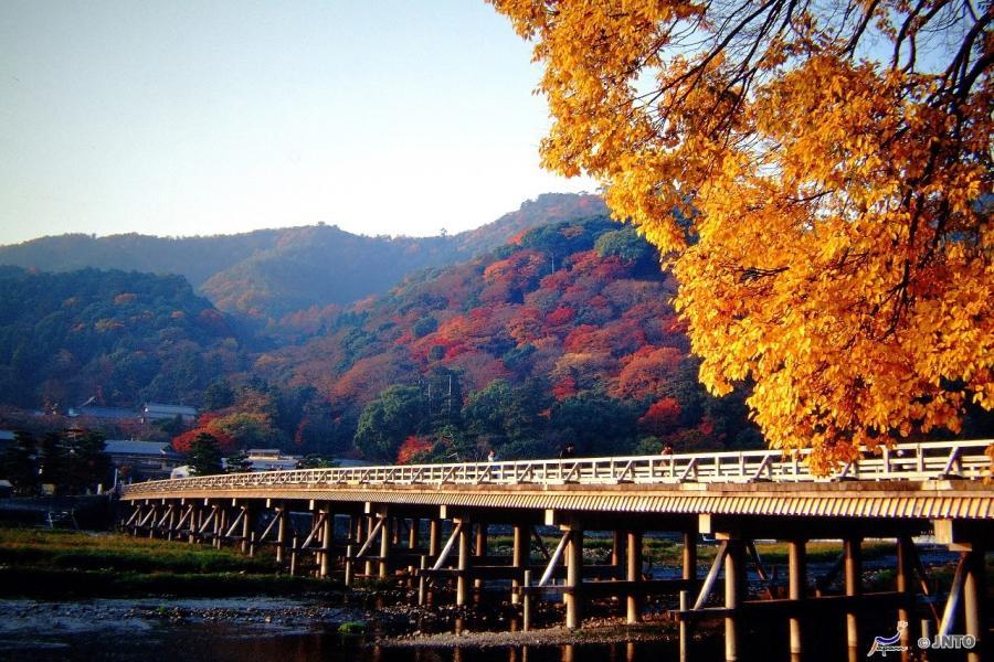 【秋楓丹後】天橋立伊根.丹後鐵道.美山.嵐山.清水寺.奈良東大寺五日