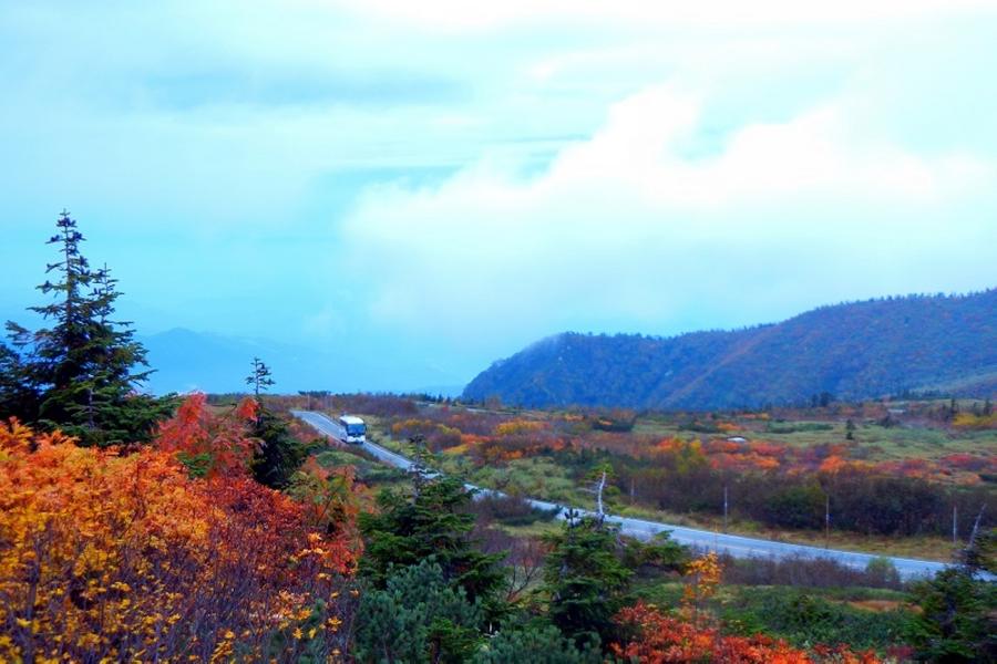 【能登假期】小松加賀屋懷石、立山古街楓景、庄川船兼六園5日