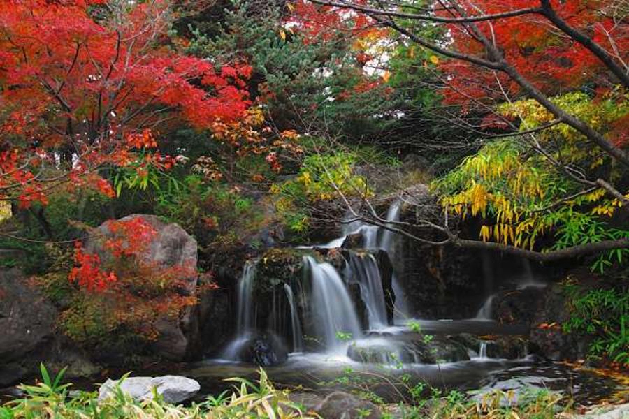 名富紅葉★立山國寶‧兼六園點燈‧古道採果5日