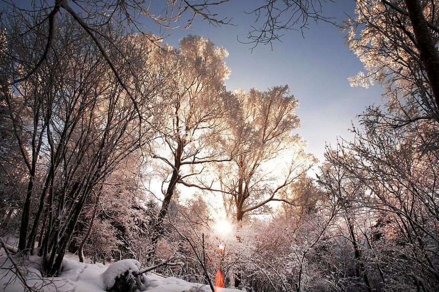 東北長白山、冰雪大世界、吉林觀霧淞、伏爾加莊園戲雪、哈大高鐵體驗八日