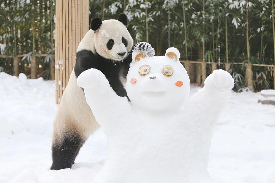 【星光諾富特】飆雪韓國～ 雪場滑雪、星光庭園、愛寶、汗蒸幕、厨師秀5日