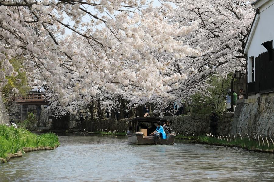 【漫遊京阪奈】大阪.京都錦市場.嵐山嵯峨野.近江八幡.奈良東大寺五天