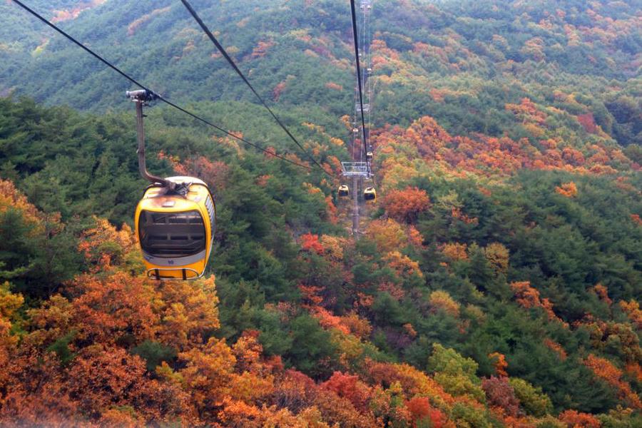 楓現釜慶～八公山纜車、桐華寺、佛國寺、海雲台天空膠囊列車、長腳蟹5日