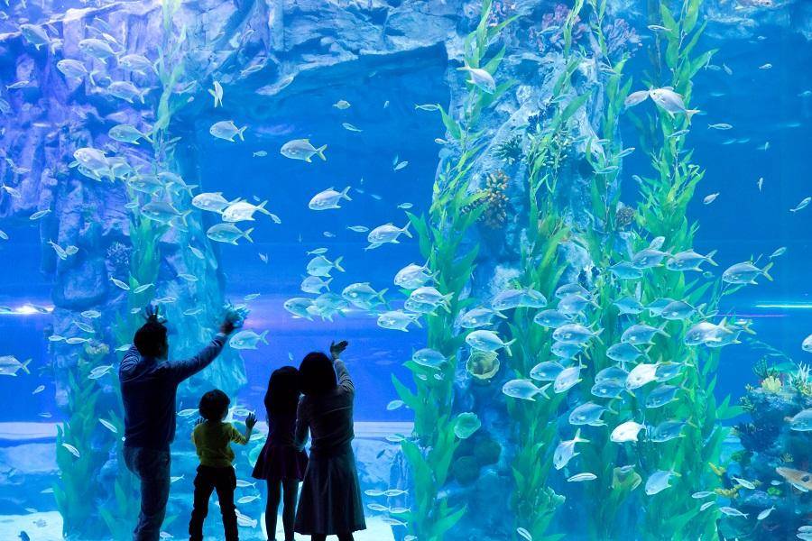 【雪舞三樂天】樂天世界+樂天塔+水族館、雪場滑雪、星光庭園、奉恩寺5日