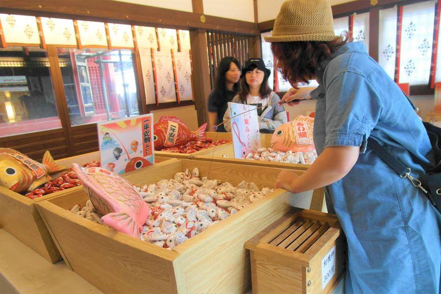【東京秋品味】楓葉古寺院、川越古街、戀愛的小鯉魚、新宿御苑、輕旅4日