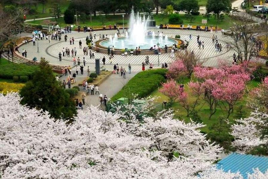 京櫻帝皇★加賀屋湯宿‧立山雪牆‧琵琶湖城園5日-CI加班機