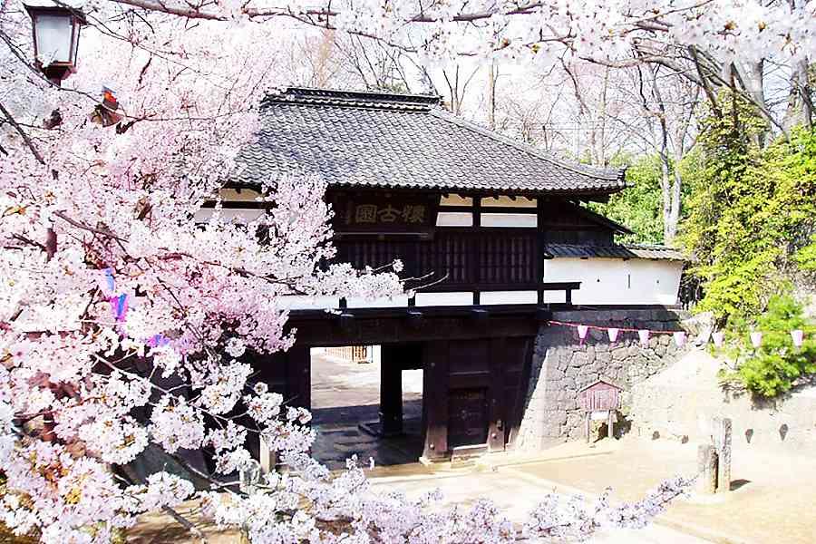 【戀花小江戶】御苑、懷古園、合掌造、海盜船、萌木之村、螃蟹、輕井澤5日