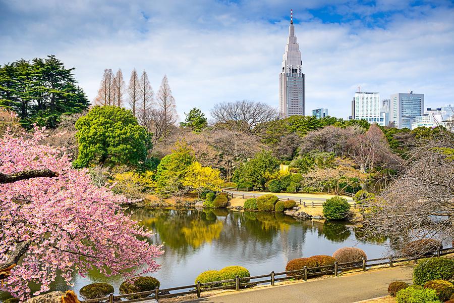 【戀花小江戶】御苑櫻、白鳥船、合掌造、鐵道、萌木之村、輕井澤、溫泉5日