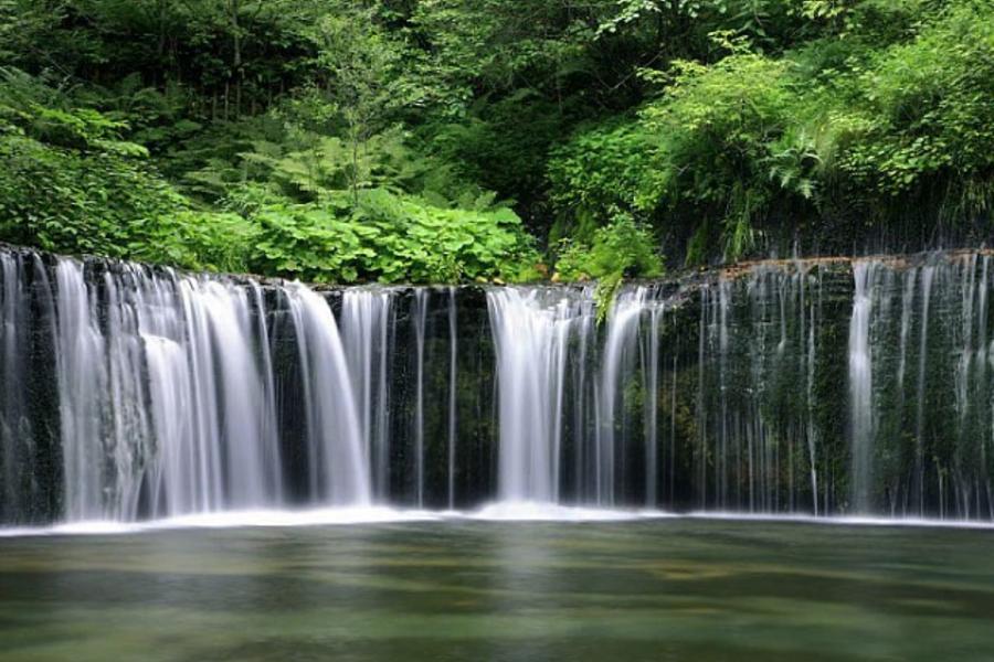 中華航空★秘境輕井澤．草津日光．伊香保．迪士尼5日