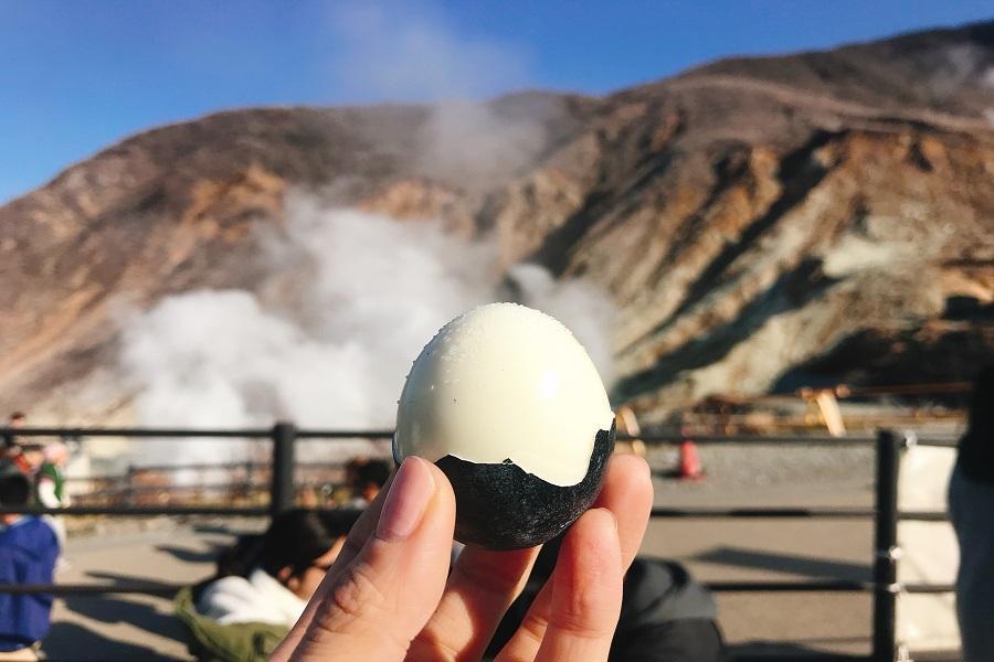 【森浴小江戶】鐵道、萌木村、川越、白鳥船、懷古園、大涌谷、螃蟹溫泉五日