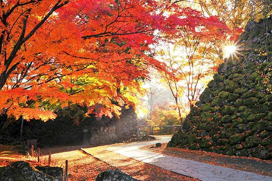 【秋意濃小江戶】紅葉祭、西武鐵道、雲場池、懷古園、纜車、螃蟹、溫泉五日