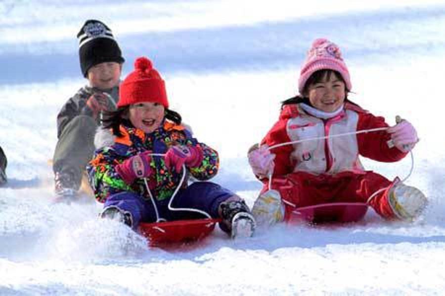 【香榭歐堡】草莓園採果、雪盆體驗、夢大吊橋、湯布院、雙溫泉、購物5日