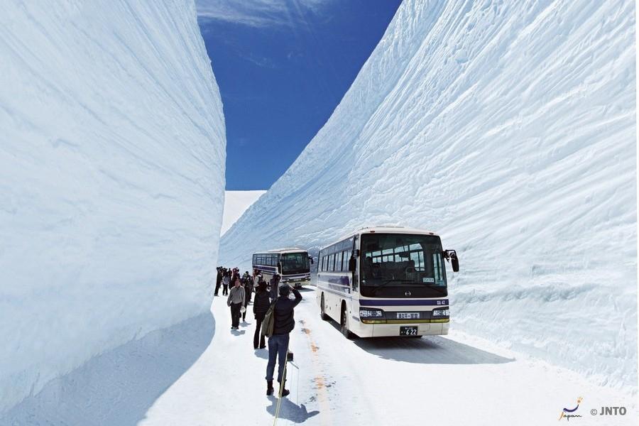 【雪牆之戀】立山、紫藤花季、上高地祕境、合掌村、古街點心、溫泉5日