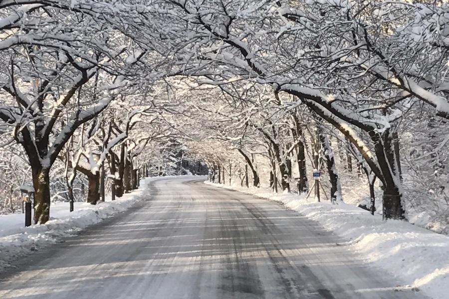 【升等2晚市區】冬戀雪嶽.滑雪.船橋莊.烏竹軒.汗蒸幕5日(不進保肝)