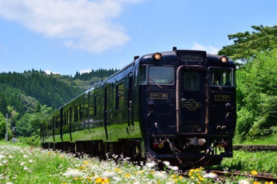 【宮崎鐵道】隼人之風列車、復活島摩艾像、指宿砂浴、鹿兒島天文館5日