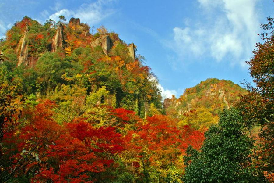 【秋賞歐堡】光明禪寺、御船山樂園、秋月城、耶馬溪、天空步道、湯布院5日