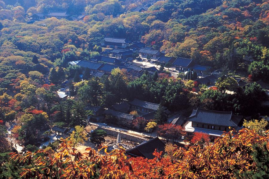 【釜山假期~韓日雙拼】幸福楓采★京都清水寺.奈良梅花鹿.浪漫小火車六日