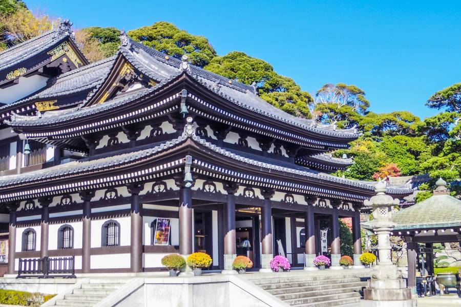 【東京翩翩】繡球花、高尾山、最美星巴克、長谷寺、鎌倉、小野川、輕旅5日