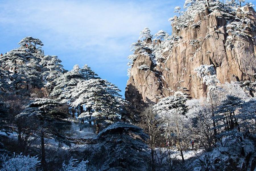 黃山賞雪景、泡溫泉、走訪宏村五日 【無購物.山上乙晚】