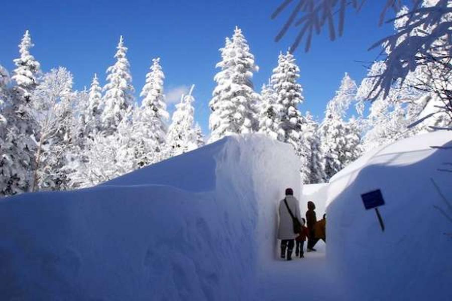 旅展★富山樂購★新穗高雪遊‧冬舞庄船‧合掌屋古街5日