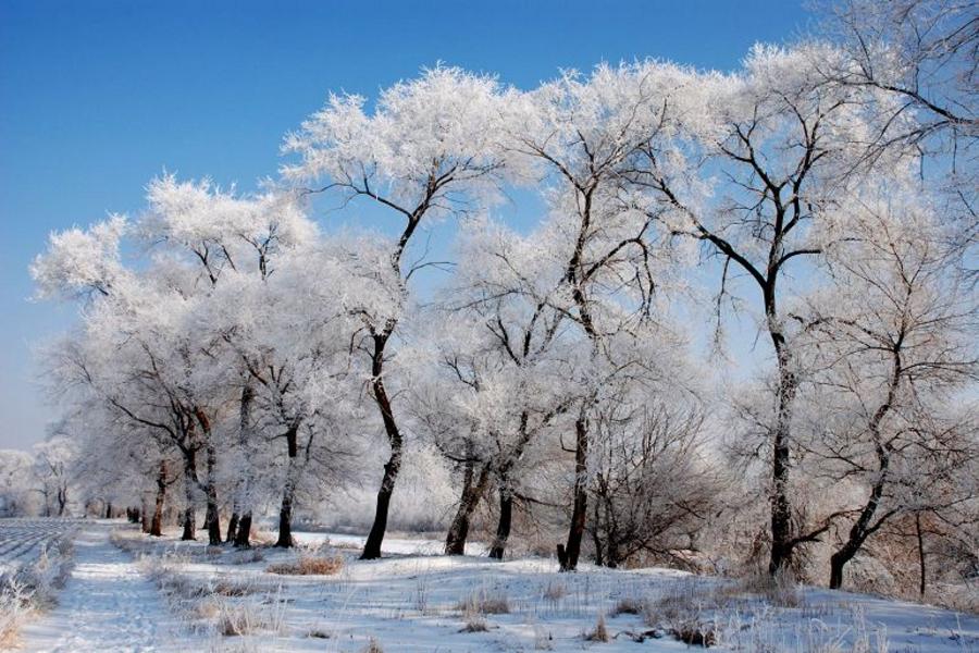 【最愛中華】東北雪鄉童話、伏爾加莊園、太陽島雪雕、冰雪大世界、冰宮火鍋、五★萬達嘉華+香格里拉雙秀六日《無購物、無自費》