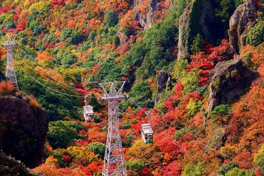 【讚賞楓四國】小豆島寒霞溪.高松栗林.岡山後樂園.姬路城.大阪五日