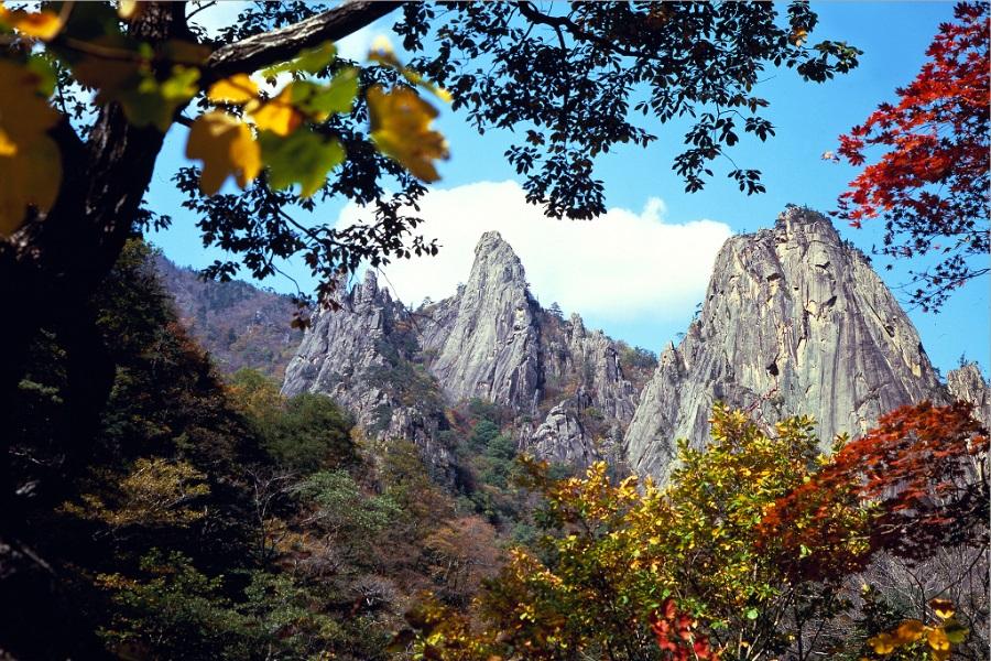 醉美楓情~雪嶽山大關嶺天空牧場.正東心跳海岸路.恩平韓服體驗6日