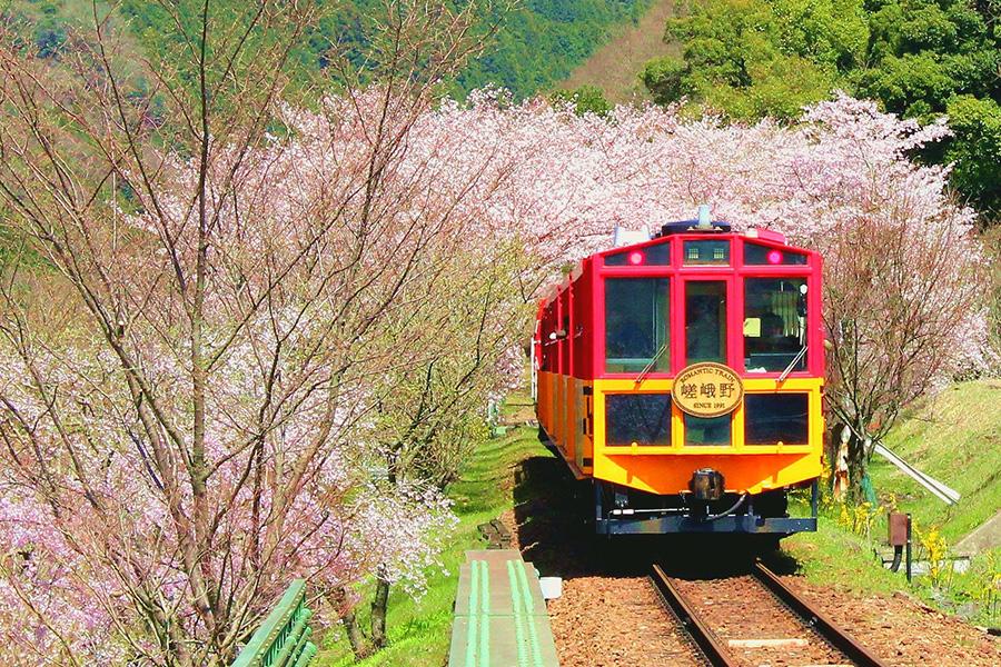 【福報佳櫻】大阪萬博.淀川.京都和服.清水寺.嵐山嵯峨野.平安神宮五日