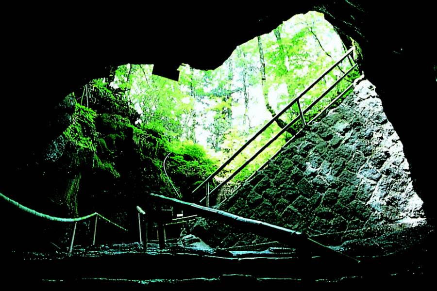 【賞味小江戶】採果樂、富岳風穴、鹿島神宮、川越、螃蟹、輕井澤、溫泉5日