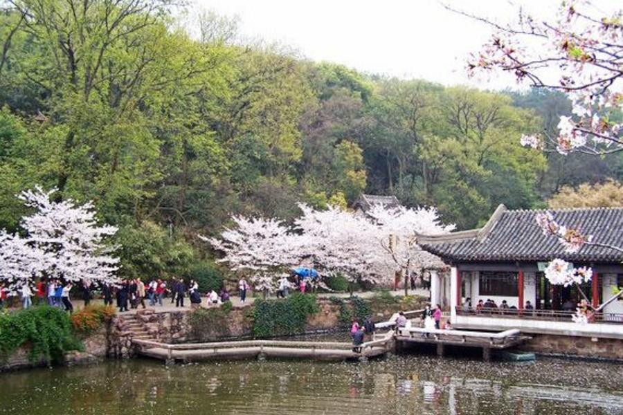 【賞花趣】春遊江南、月河古鎮、雙秀六日【無購物＋升等銆爾曼酒店二晚】