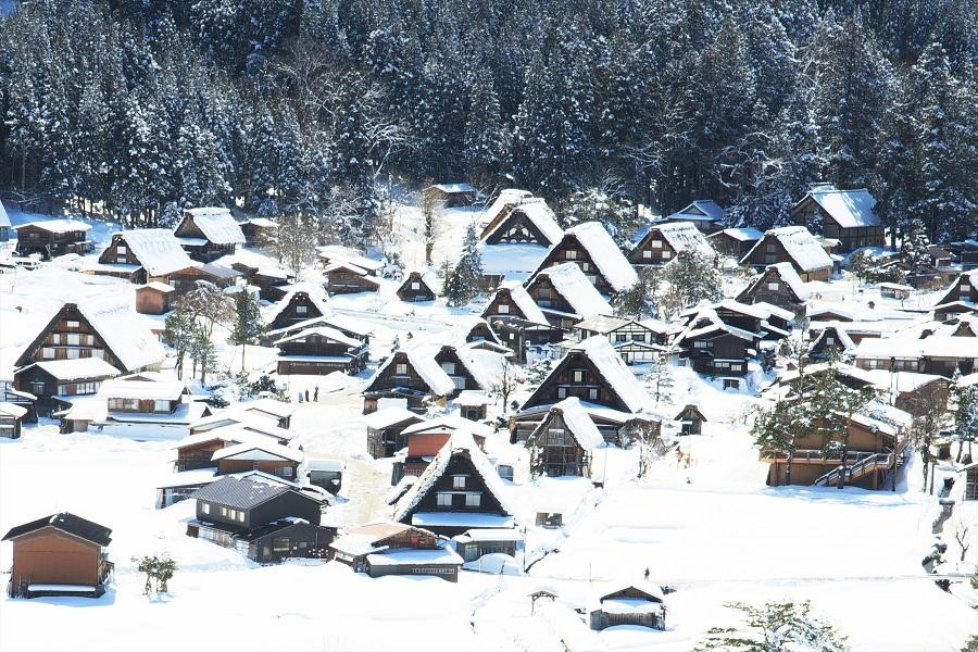 【冬雪新穗高】大阪飛驒.合掌村.新穗高纜車.牧歌之里戲雪.名花之里五日