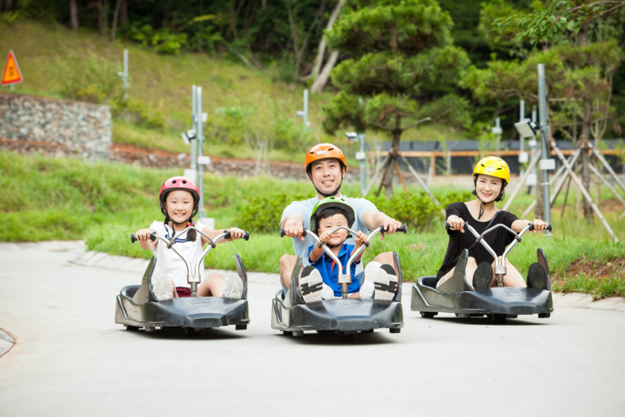 【亮彩韓國】斜坡滑車、南怡島、晨靜樹木園、南山纜車5日(只走彩妝)