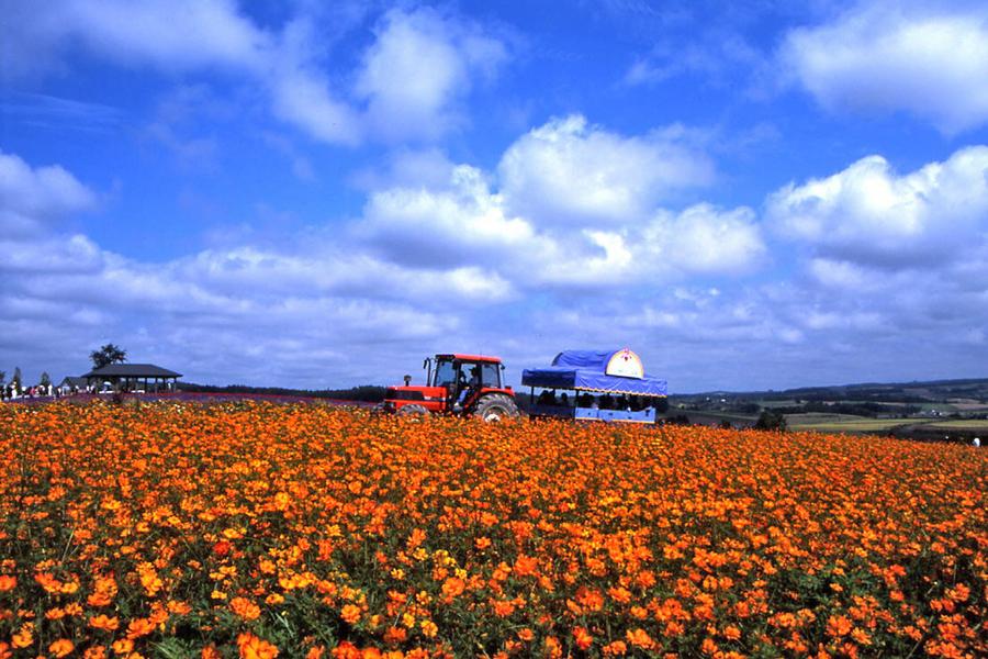 【2015年和泰大金】 北海道經典道東5日